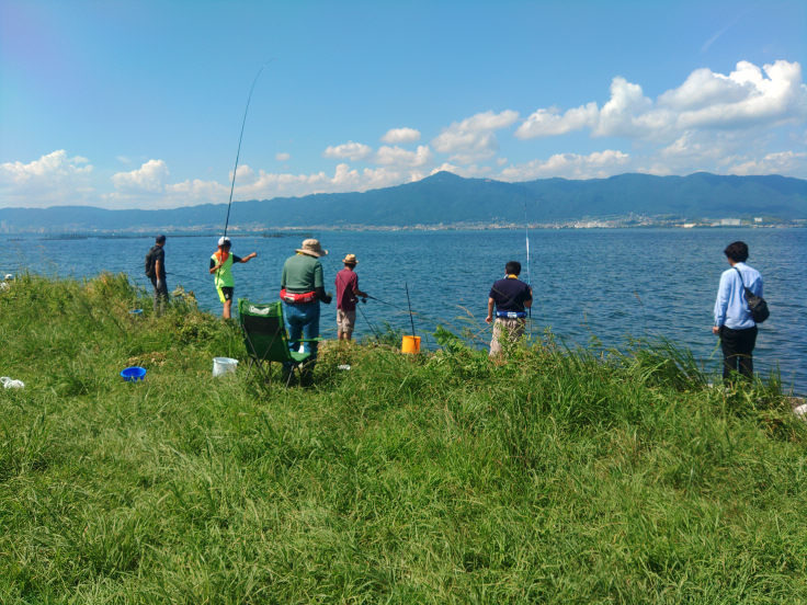 OsakaVolunteer's tweet photo. ＼ #環境 ／琵琶湖外来魚駆除大会🐟

在来魚保護のために #琵琶湖 の #外来魚 を駆除します！

日時：9/8(日) 10:00-15:00
場所：滋賀県草津市津田江1 (北) 湖岸緑地（最寄：JR琵琶湖線「草津」）
募集先：琵琶湖を戻す会 @modosukai

詳細
☞ https://t.co/Pdasbqhsa2

#M145 https://t.co/Vu78EZBTOP