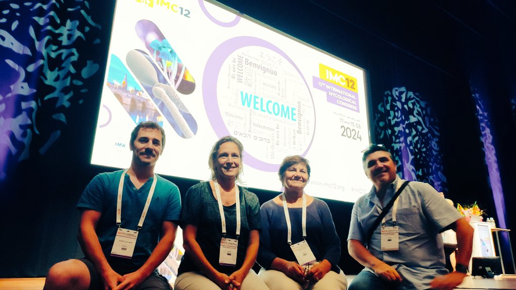 David Navarro tweet media