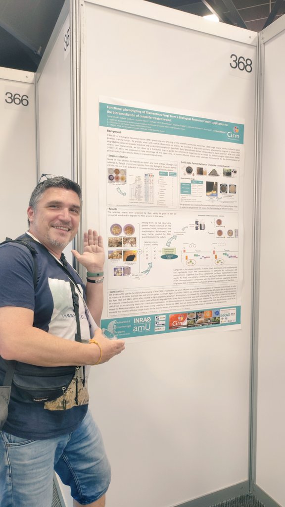 David Navarro tweet media