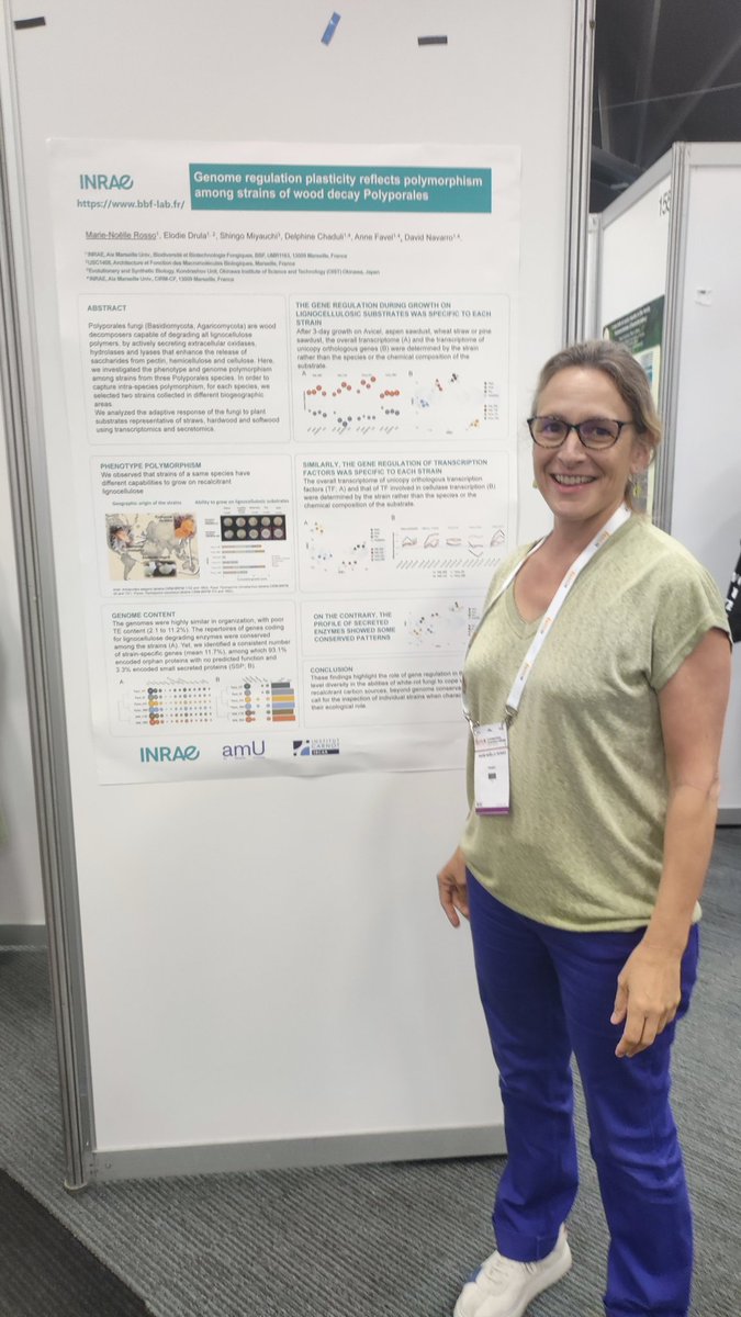 David Navarro tweet media