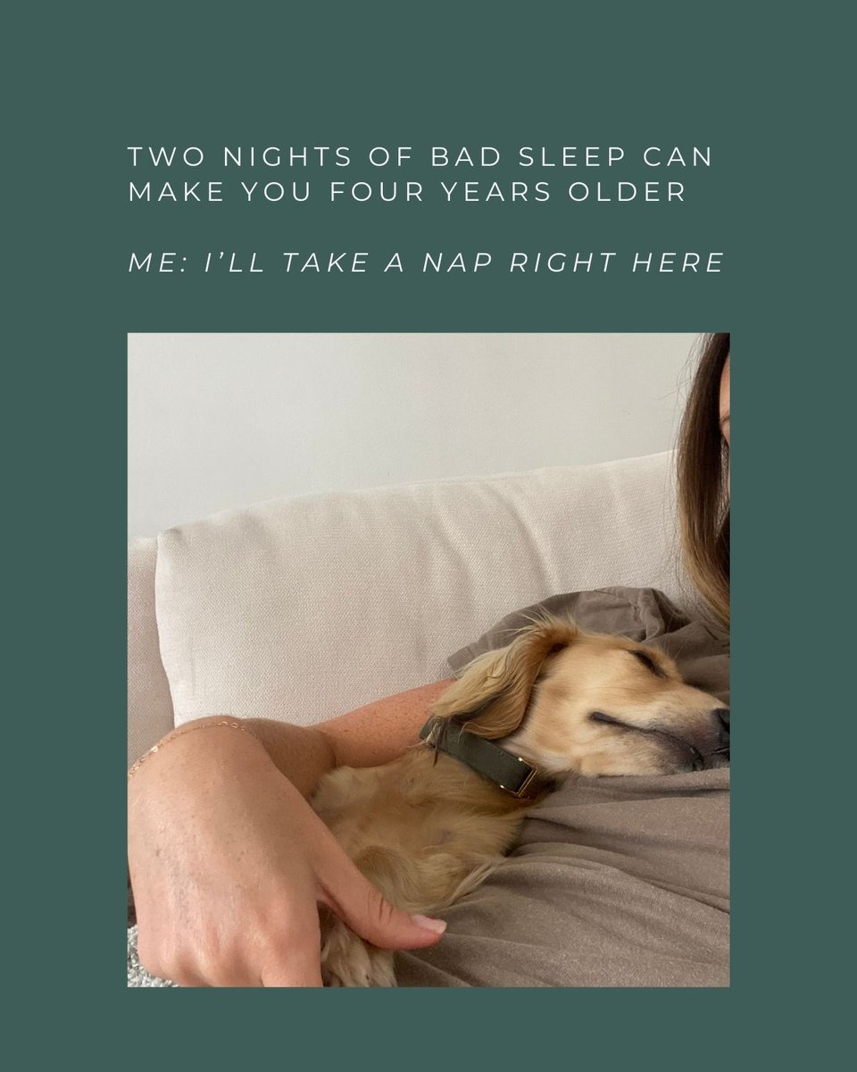 ProvacanHealth's tweet photo. Feeling stressed or fatigued? A short nap can work wonders for your day. Taking a quick 20-minute nap, especially when paired with a few drops of Provacan oil, can significantly boost your well-being.

#NapTime #StressRelief #Provacan #BoostYourDay #Wellbeing #MentalClarity https://t.co/yHjInHYHWP