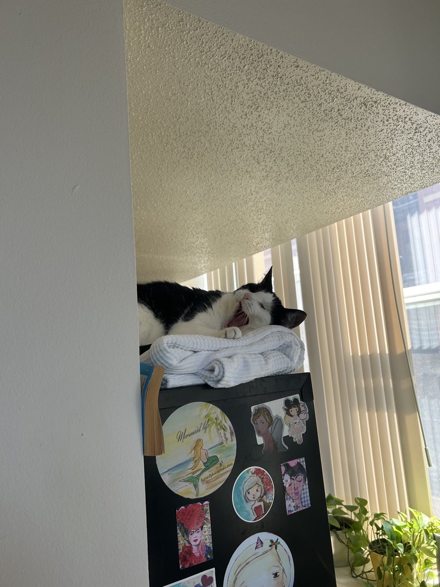 Buddy’s favorite hangout