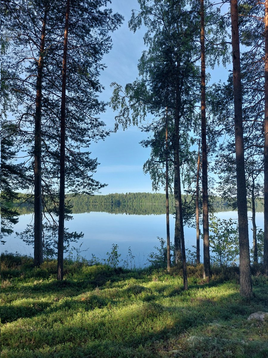 Karoliina Niemi tweet media