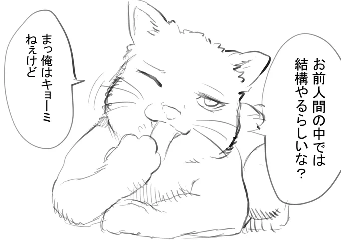 ネコチャン… 