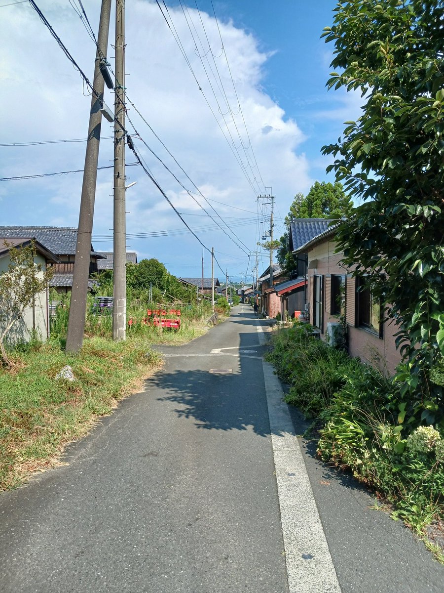 毎年、この光景を見るために墓参りしに来る自分がいる。

奥〜に薄ら見えるのが琵琶湖です