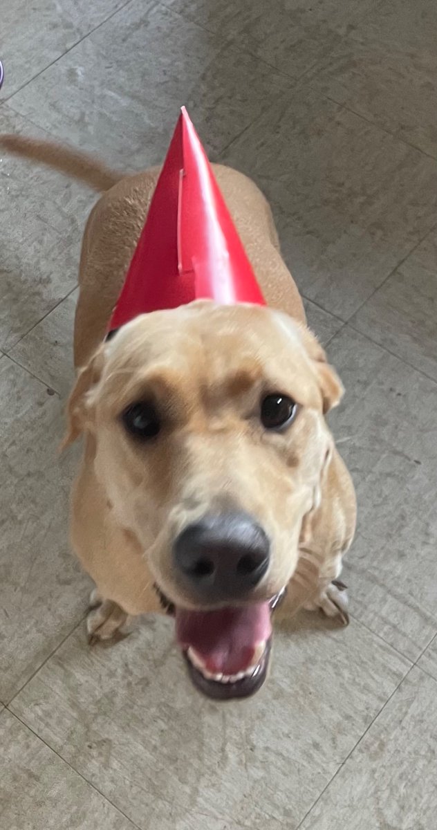 Micchatterer12's tweet photo. Call me eccentric if you will,but my girl just turned 1 and I had to celebrate having her in my life.❤️She’s such a treasure 🫶🏻 https://t.co/ZreSpXlfaY