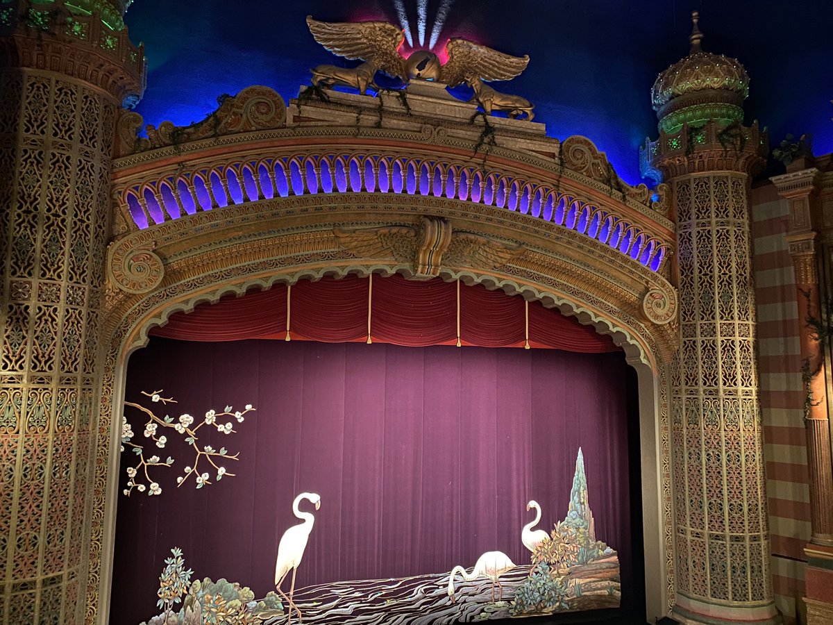 eva_ford's tweet image. Waiting for the @brianeno film to start.