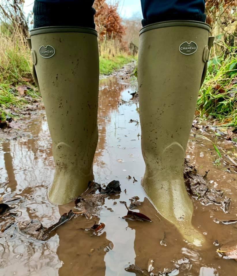 WindyWilson88's tweet photo. Windy says it was a @LeChameau1927 welly kinda dog walk this morning👌
#lechameau #poshwellies #cockapoosofx #windywilson #thespinney #scotland #mudfest #lechameauwellies #lechameau1927 https://t.co/nugW8p4gMC