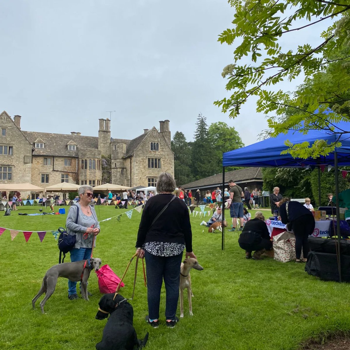 StonehouseCanal's tweet photo. Join @CourtStonehouse for the Stonehouse Court Garden Party on Sunday 1 September for a fun-filled afternoon, perfect for the whole family!

You can expect:
🎤 Live music
🍗 BBQ
🍦 Ice cream
🏰 Inflatable games
🎪 Market stalls

... and much more!

#StonehouseCanalFestival2024 https://t.co/ZaHi2vcHP4