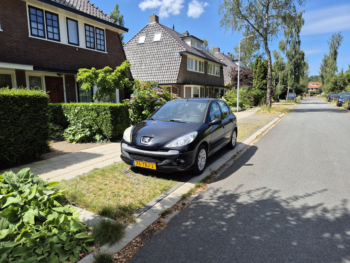 Ook in #Amersfoort is parkeren op #grastegels🌱 al heel gewoon. Straat wordt minder heet, meer #regenwater 🌧 naar bodem en de bijen en wormen zijn er blij mee 🐝🎶🪱.

Eigenlijk gek dat we het nog niet standaard doen toch? Grastegels kosten hetzelfde, met veel meer voordelen.😃