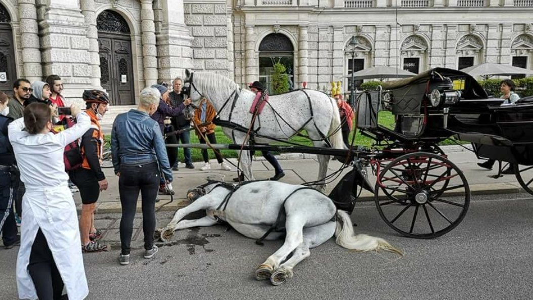 Georg Prinz tweet media