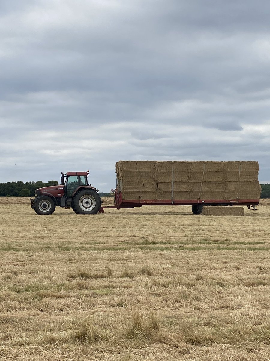 Juliet Scantlebury tweet media