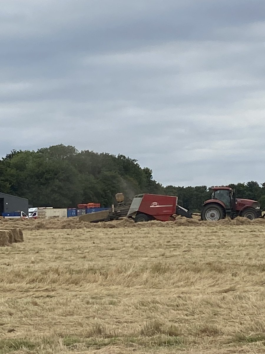 Juliet Scantlebury tweet media