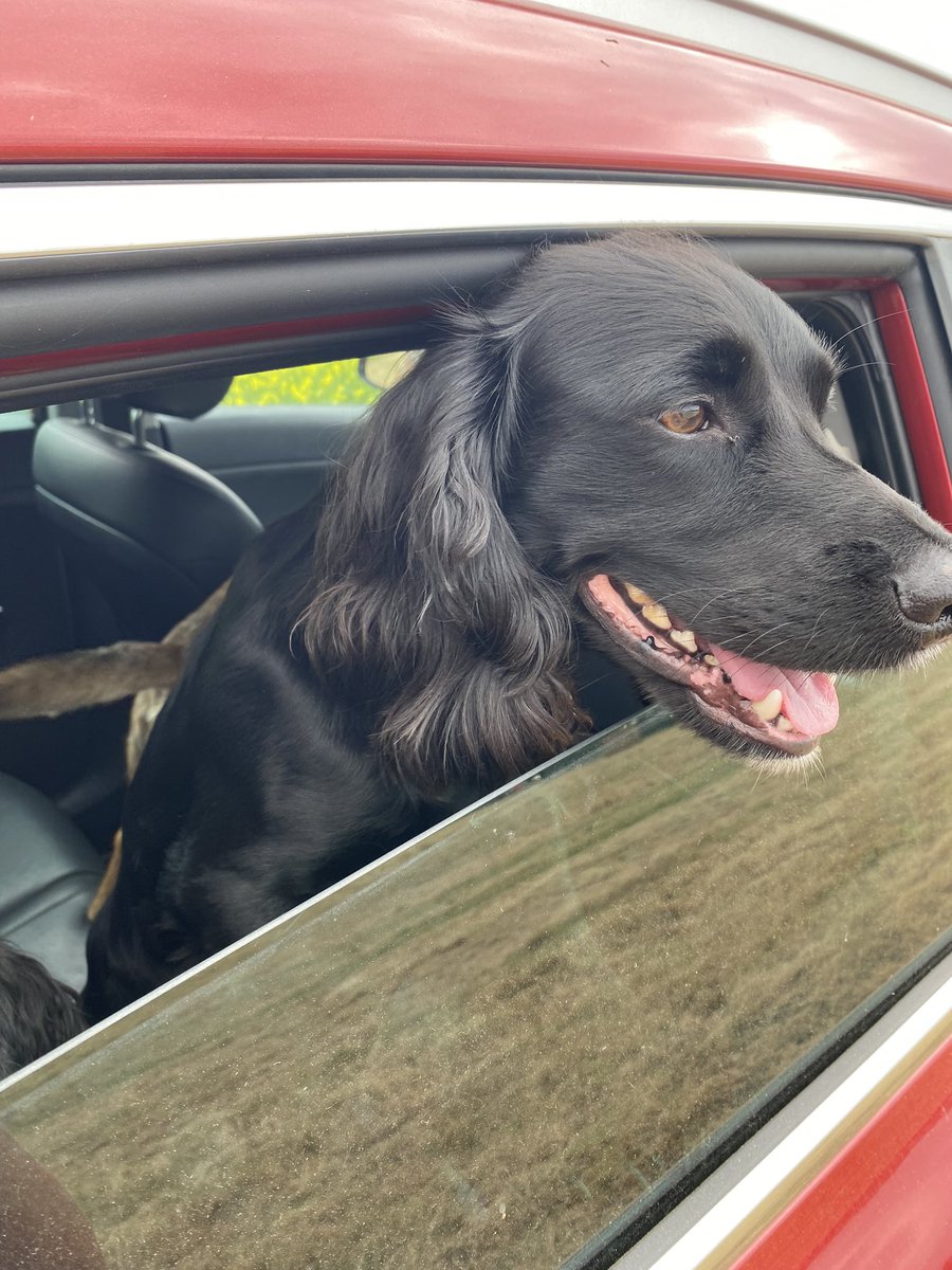 Juliet Scantlebury tweet media