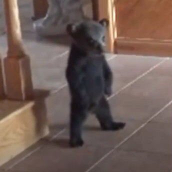 ꒰ঌ 우동 ໒꒱ (@woodonghyuk) on Twitter photo 