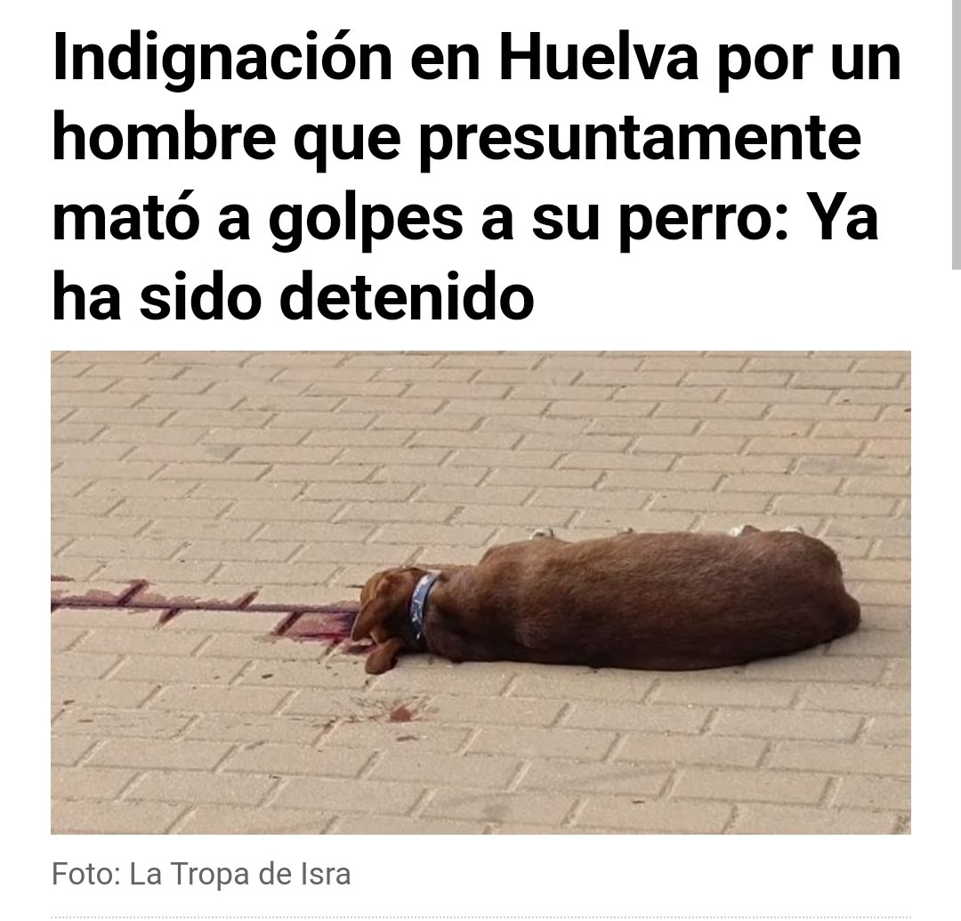 Rubén Pérez tweet media