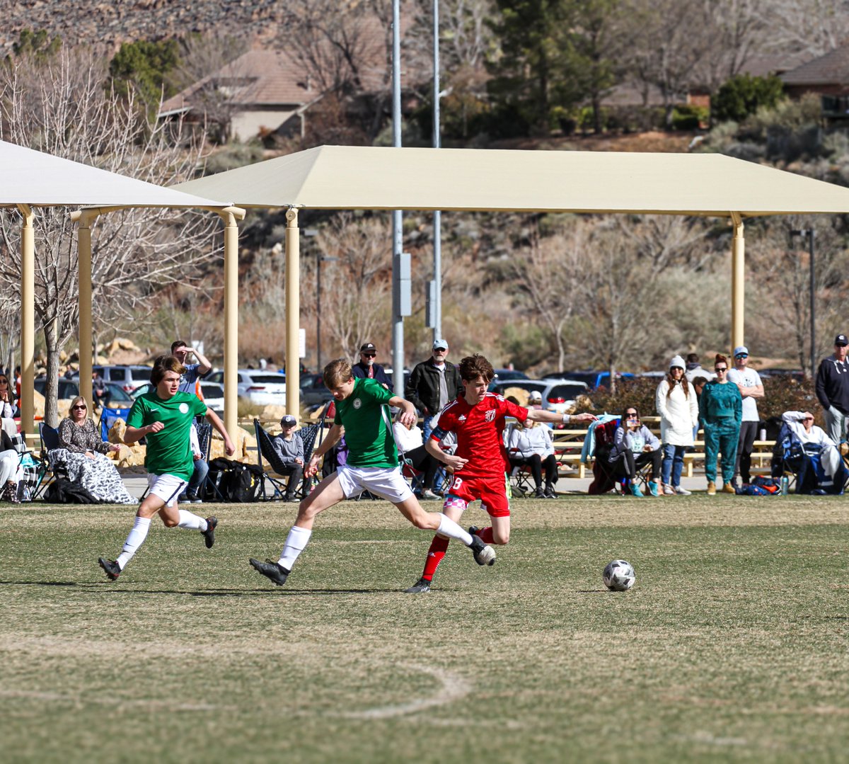 7 Elite SABA tweet media