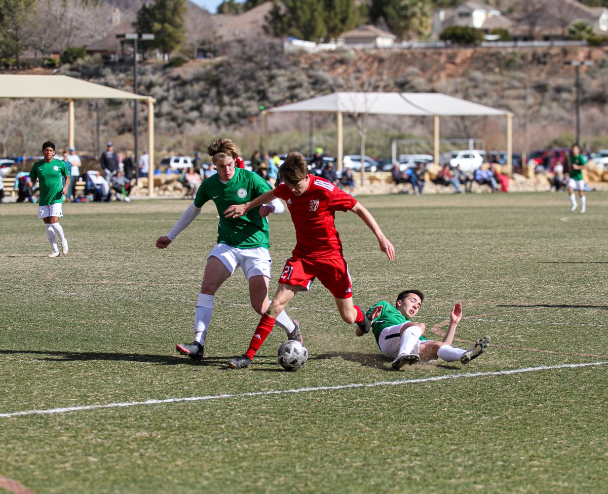 7 Elite SABA tweet media