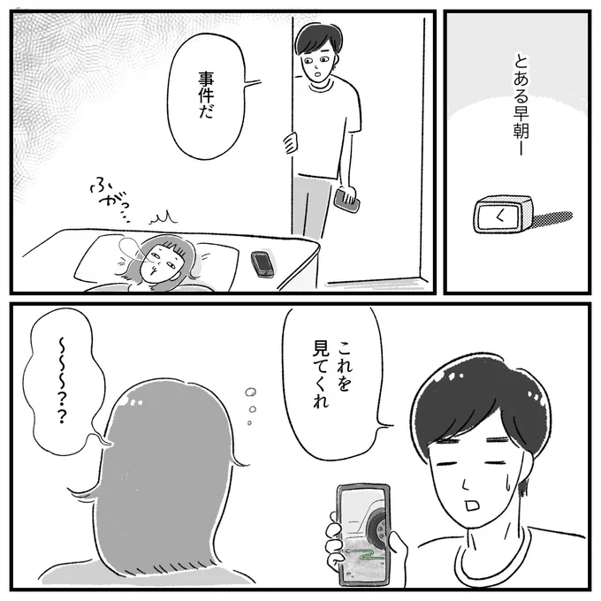 田舎の朝に起きた事件🐍(1/3)
#漫画が読めるハッシュタグ 