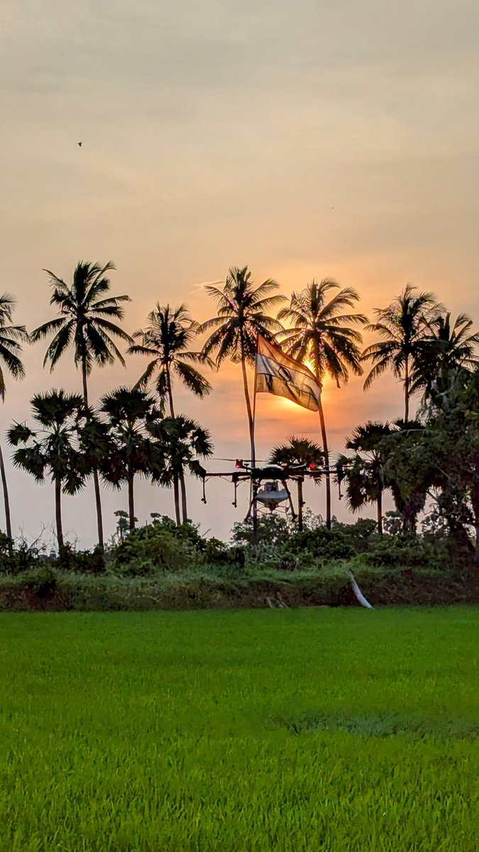 Agri_tech_'s tweet image. Under the bright sun, our flag stands tall, symbolizing our independence and progress in agricultural technology. Honoring freedom and innovation. 🇮🇳 #IndependenceDay  #agritech #DroneFarming