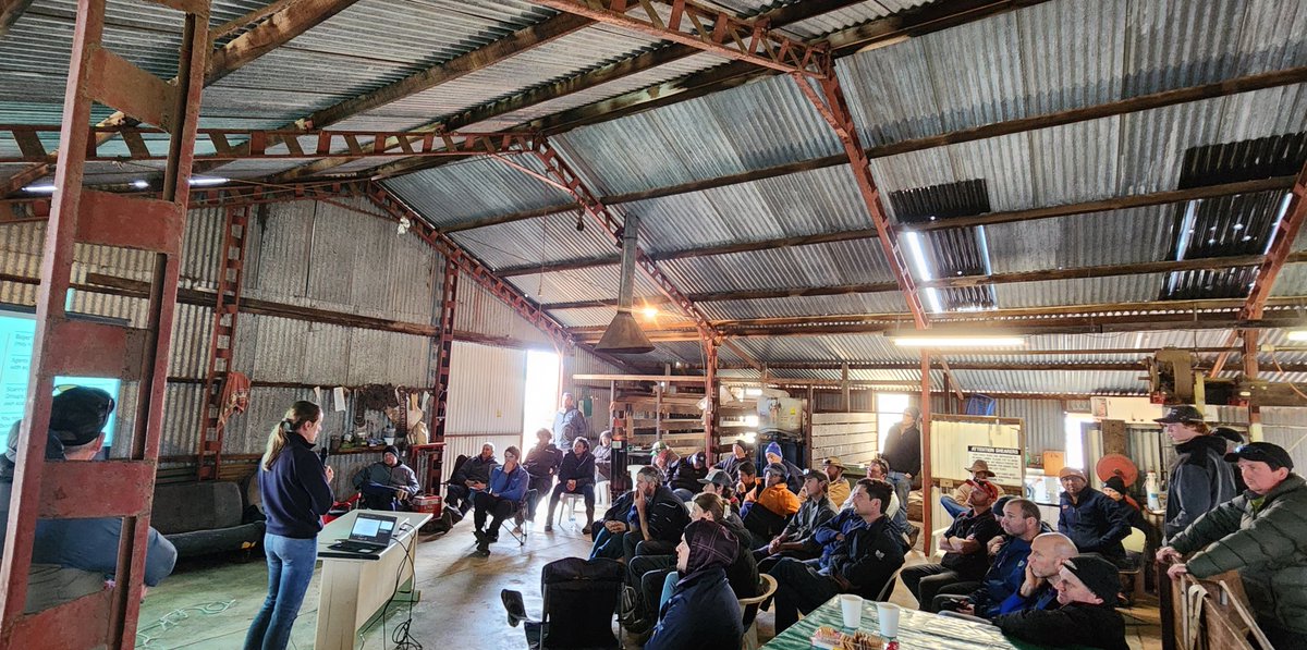 Great turn out to our Pasture Pro Field Day  yesterday! With discussions on the importance of fertiliser, benefits of grazing standing lupins and a tour of our 2024 Pasture Demonstration site! Thank you to the White family for hosting.