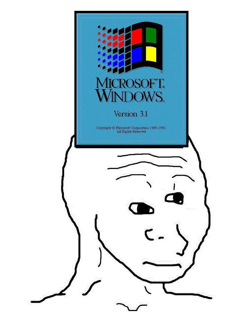 sartocrates tweet media