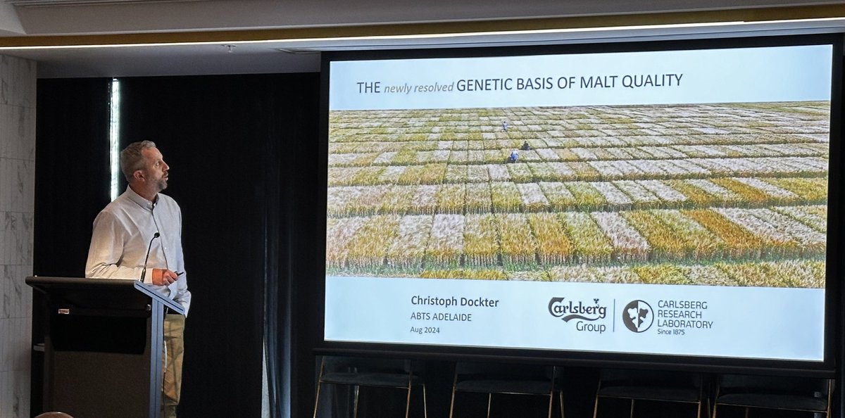 abts2024 (@abts_2024) on Twitter photo Dr Christoph Dockter <a href="/CarlsbergGroup/">Carlsberg Group</a> discusses The genetic basis of malt quality
#ABTS2024 #barley Dr Christoph Dockter <a href="/CarlsbergGroup/">Carlsberg Group</a> discusses The genetic basis of malt quality
#ABTS2024 #barley