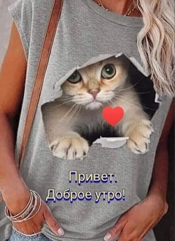 Дорогая Марианна tweet media