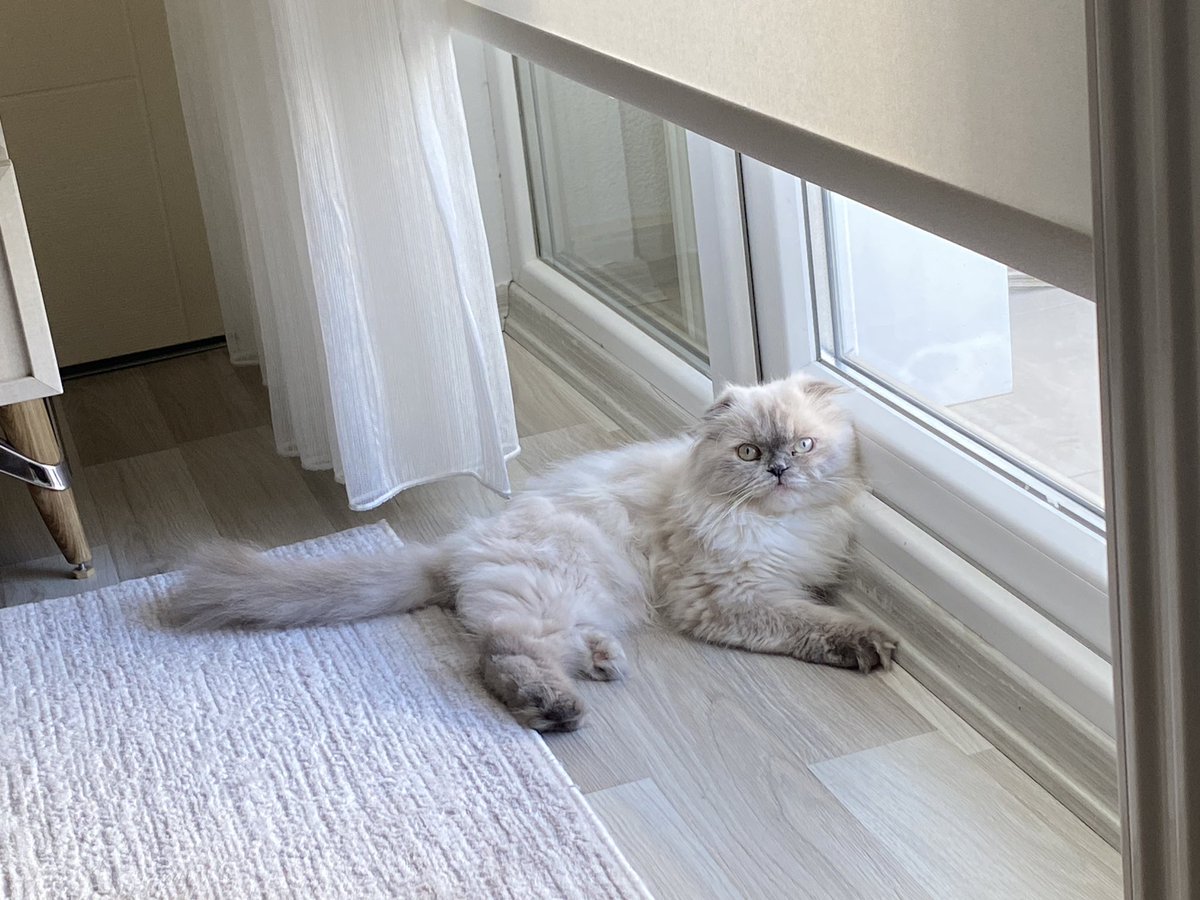 Turşu kız güneşleniyooo ☀️