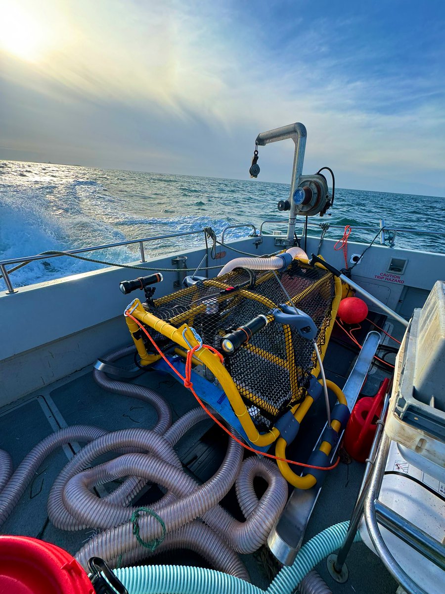 We don’t live in a yellow submarine, but we designed one to harvest seeds and restore seagrass meadows.