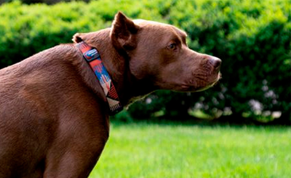 Vortex eSports tweet media