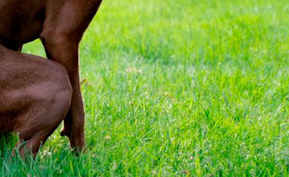 Vortex eSports tweet media