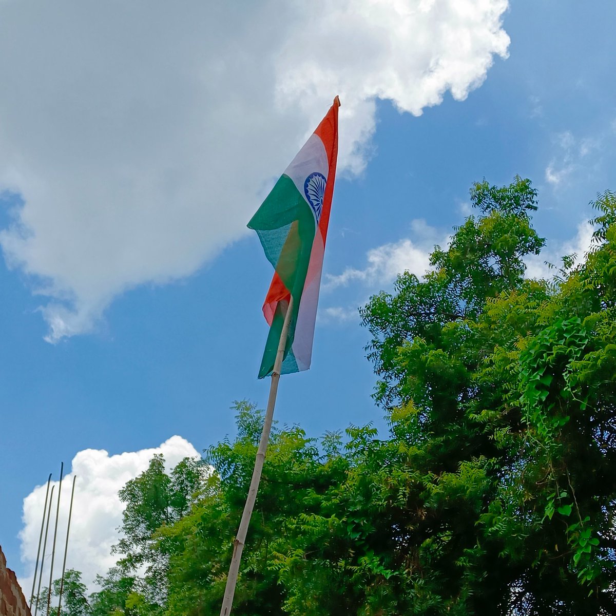 jsonbag's tweet image. #IndependenceDay2024
#HarGharTiranga