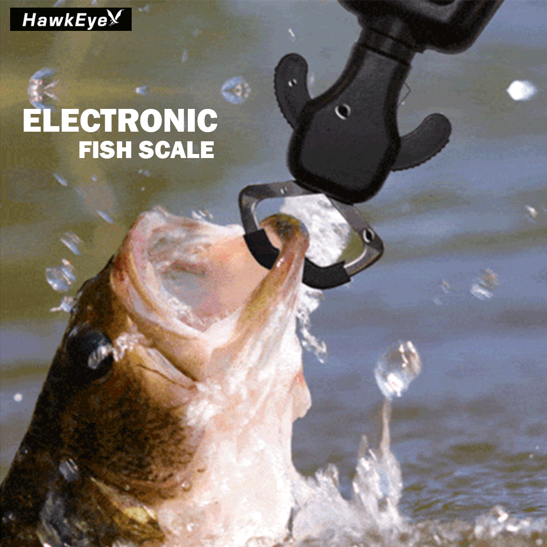 hawkeyefishing's tweet photo. Electronic Fish Scale @hawkeyefishing
Hands-Free Fish Weight &amp; Length Measurement...

Check Here - https://t.co/tvc1hzAxLP

#fishfinder #depthsounder #depthfinder #electronicfishscale #fishscale #boatfishing #fishmeasuringdevice https://t.co/FVE1e4gYSv