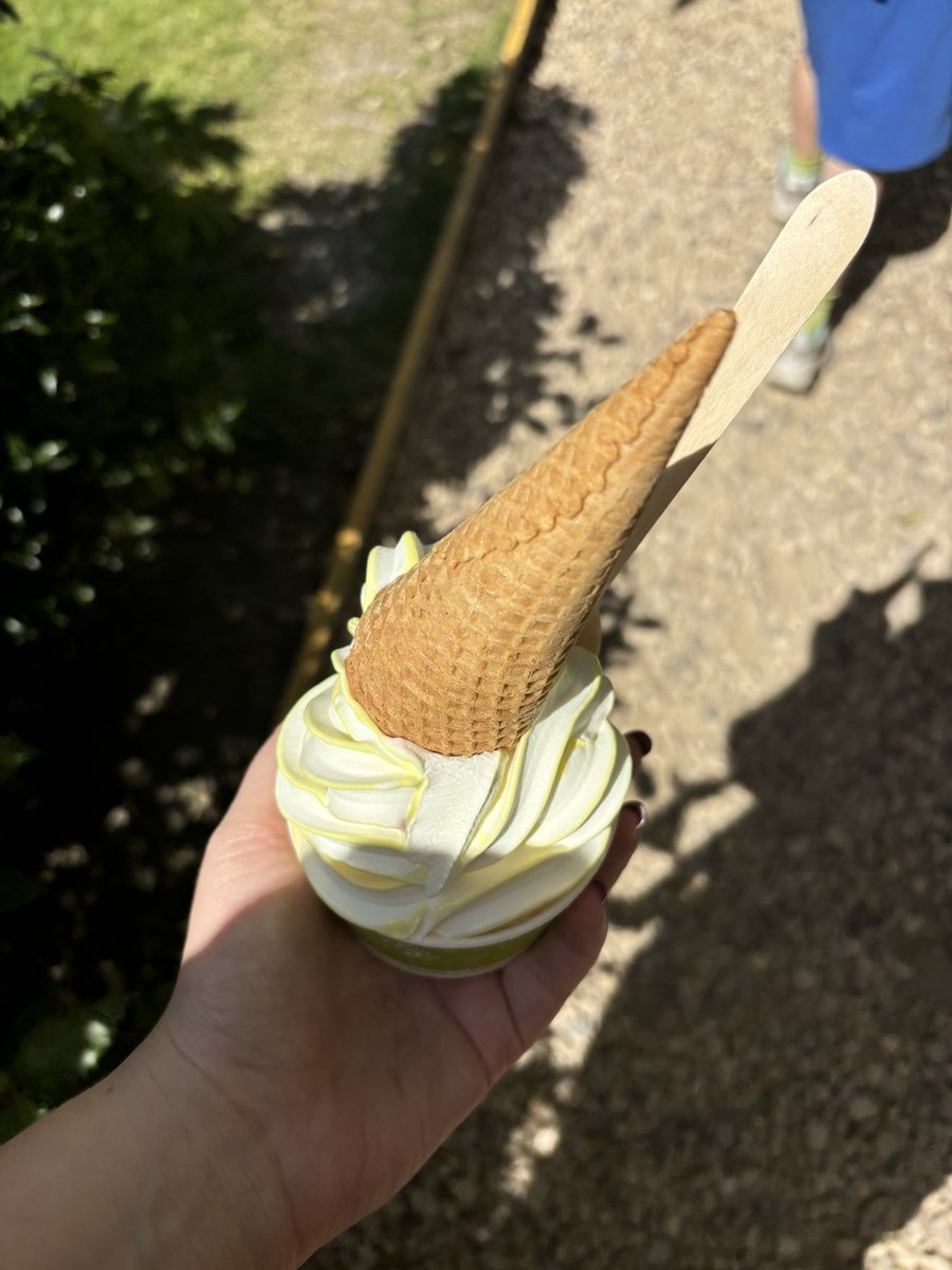 katieroper's tweet photo. Things I have been enjoying lately- Mr Whippy, challenging children to handstands, flowery tea and choosing holiday books. https://t.co/B2kO1HI5Wr