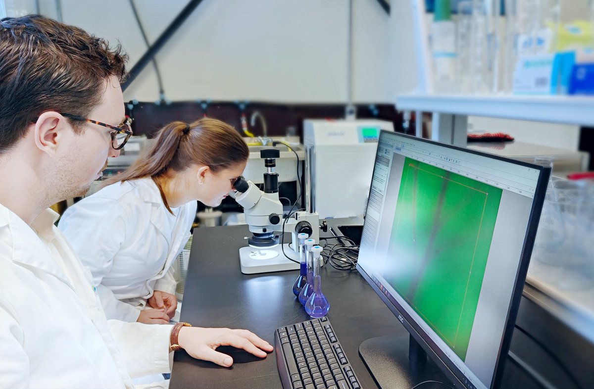 𝗧𝗼𝗲𝗸𝗲𝗻𝗻𝗶𝗻𝗴 𝗽𝗿𝗼𝗷𝗲𝗰𝘁 𝗕𝗿𝗶𝗴𝗵𝘁𝗹𝗮𝗻𝗱𝘀 𝗡𝗲𝘅𝘁 𝗚𝗲𝗻𝗲𝗿𝗮𝘁𝗶𝗼𝗻 𝗙𝗮𝗿𝗺𝗶𝗻𝗴. Met een integrale benadering en hoogwaardige gedeelde faciliteiten streven we naar innovatie, talentontwikkeling en kennisdeling binnen de sector. ➡️ eu1.hubs.ly/H0bKr8c0