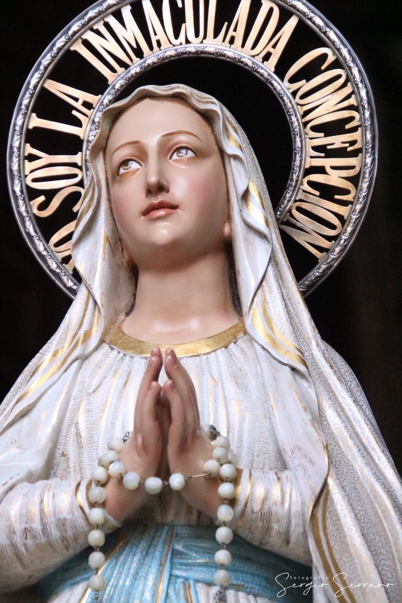 Cofradía de Lourdes (@rarchilourdesva) on Twitter photo ¡Feliz día de la Asunción de Nuestra Señora! ¡Y feliz día de nuestro CXLV aniversario fundacional!
Hoy celebraremos este día tan especial e importante para nosotros a las 12:00 en la Parroquia de San Ildefonso.
📷 <a href="/fotos_sergio/">Fotografías Sergio Serrano</a> ¡Feliz día de la Asunción de Nuestra Señora! ¡Y feliz día de nuestro CXLV aniversario fundacional!
Hoy celebraremos este día tan especial e importante para nosotros a las 12:00 en la Parroquia de San Ildefonso.
📷 <a href="/fotos_sergio/">Fotografías Sergio Serrano</a>