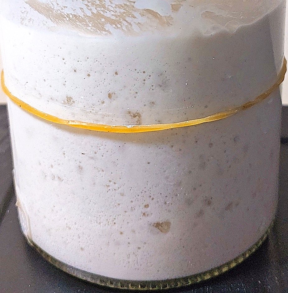 khns_'s tweet photo. Ingon-ingon sourdough starterku, Madre, hari ini umurnya setahun. Jadi sejauh ini aku sudah membuat 60+an resipi aneka roti anak-anakannya Madre. Akan aku buat trit sebagian yang kefoto dimulai dengan sourdough focaccia yg proses membuatnya 30an jam tp habisnya tdk sampai sejam. https://t.co/joE5sgGrKK
