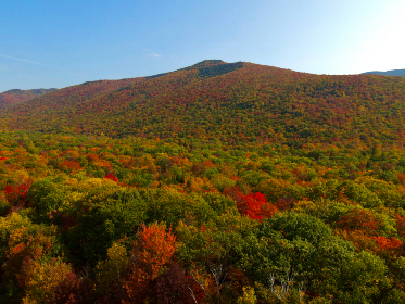 With the growth projections of the Web3 ecosystem reaching sky-highs, the need for events and conferences that foster innovation and boost adoption has never been greater.