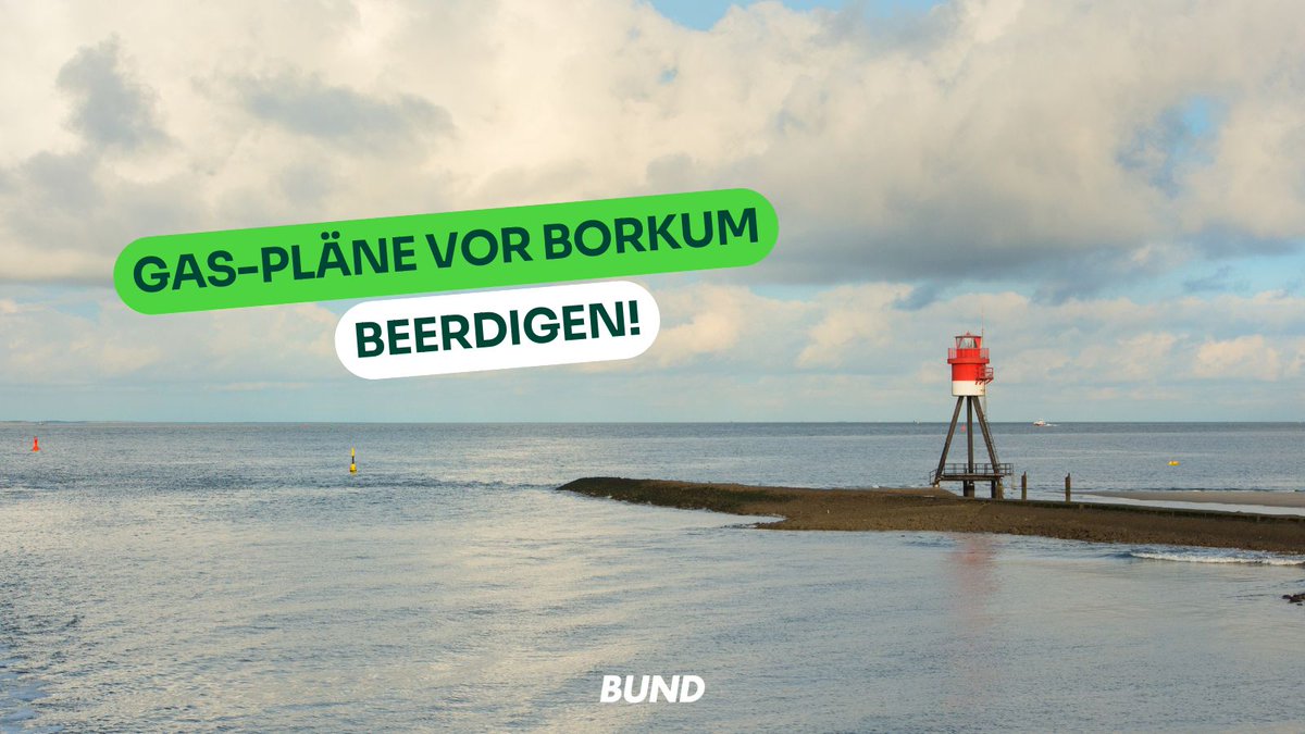 Keine #Gasbohrungen - erst recht nicht am Weltnaturerbe #Wattenmeer! Wir Umweltverbände fordern: Die Bundesregierung muss Gas-Pläne vor Borkum jetzt beerdigen. Kein Förderabkommen mit dem Niederlanden!

➡️ dnr.de/presse/pressem…