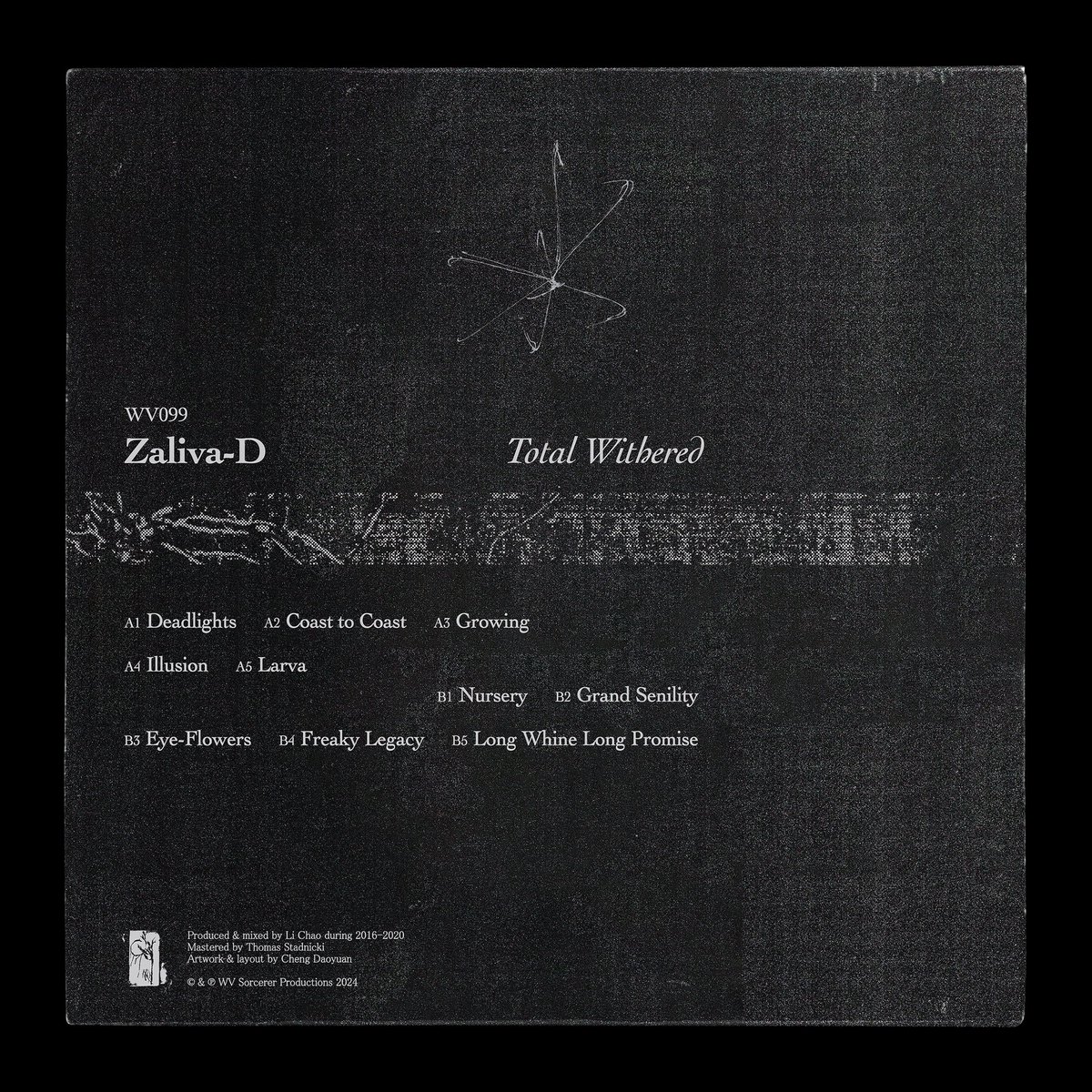 Cheng Daoyuan tweet media