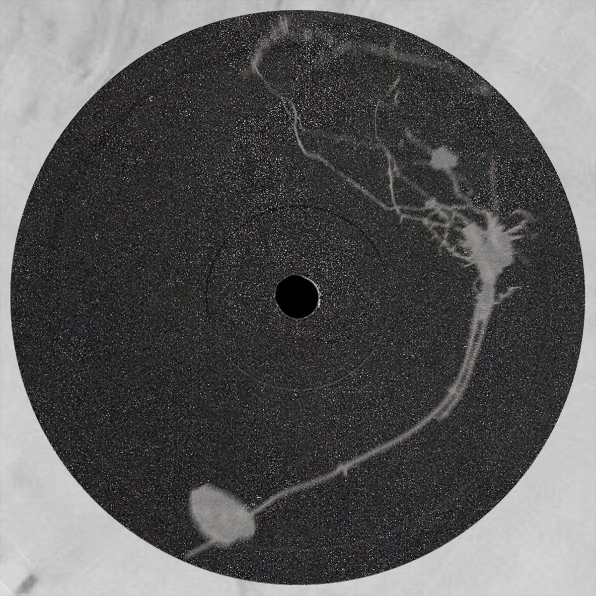 Cheng Daoyuan tweet media