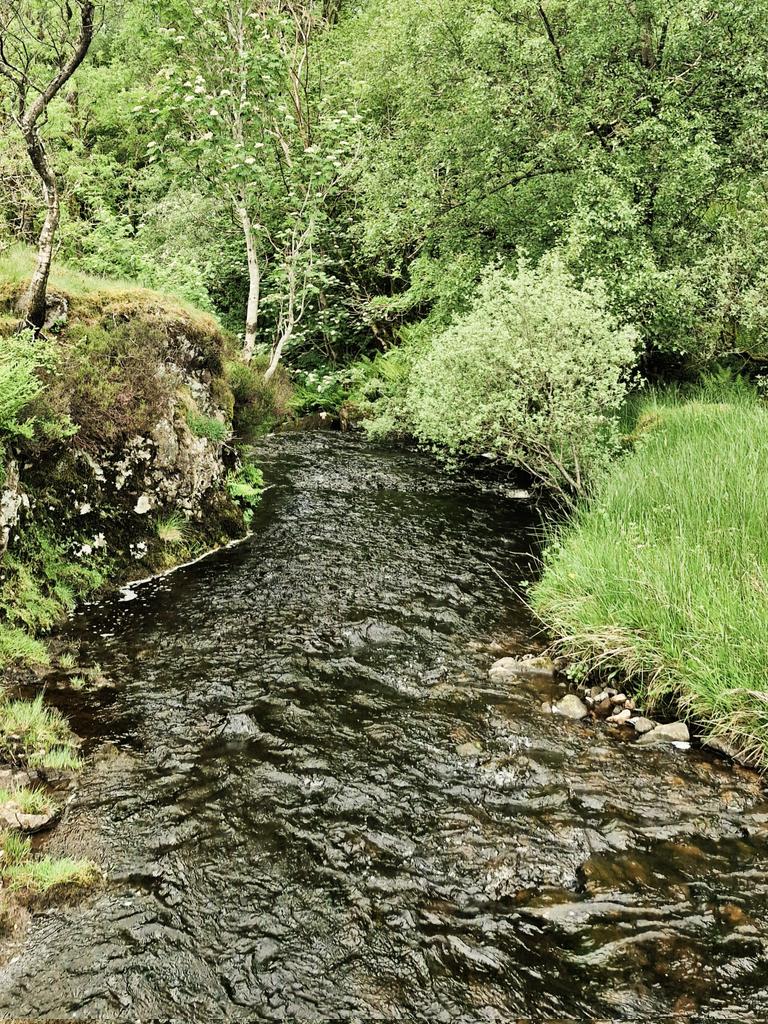 🖤🖤🖤
Good morning everyone!!!
#Beannaithe