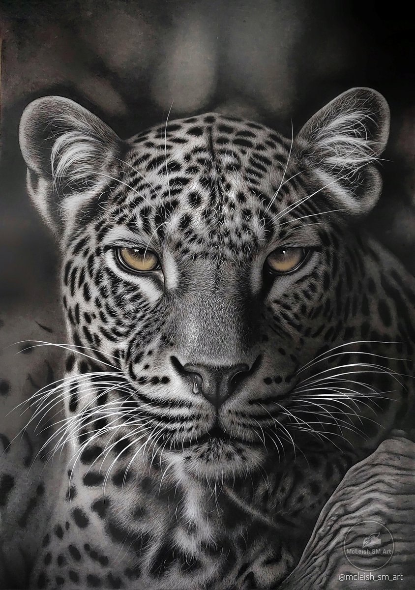 A McLeish_SM_Art masterpiece
Fresh from the drawing board..