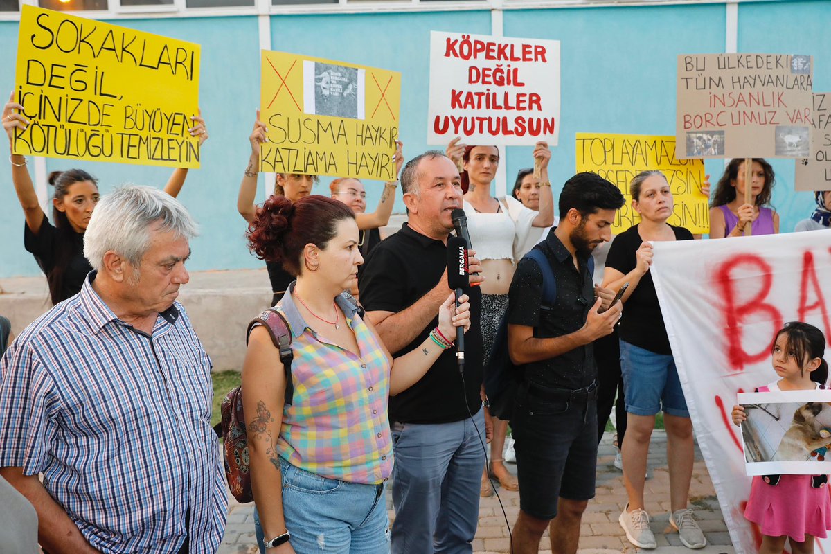 Bergama Belediyesi tweet media