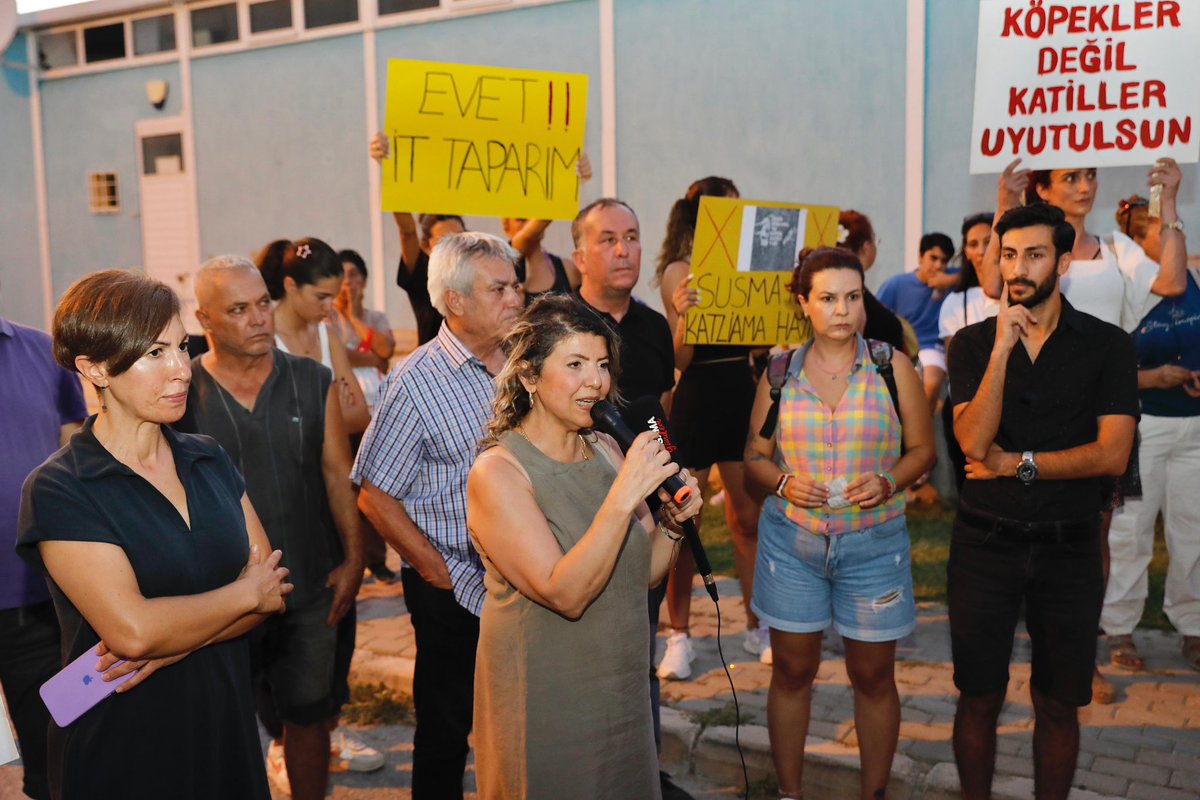 Bergama Belediyesi tweet media