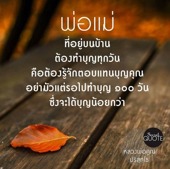 CiJunjao's tweet photo. #คำคม #คำสอน #คติสอนใจ #ข้อคิดดีๆ #คติธรรมสอนใจ https://t.co/ZEMsF3wKdd