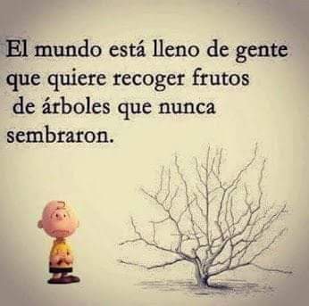 VidaEquilibrada (@vidaequilibrad4) on Twitter photo 