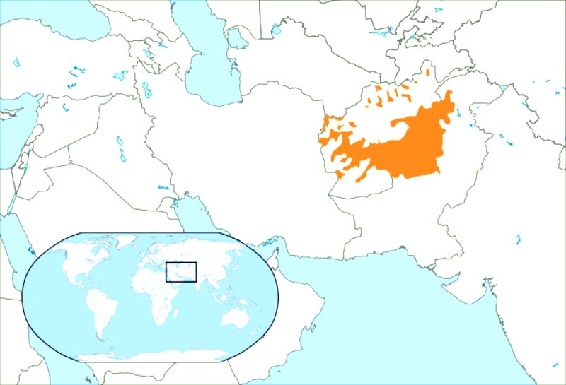 هناك حالات تشير إلى تطابق في بناء الكلمات أو استخدام جذر لغوي مشابه بين اللغة البشتونية واللغة العبرية القديمة