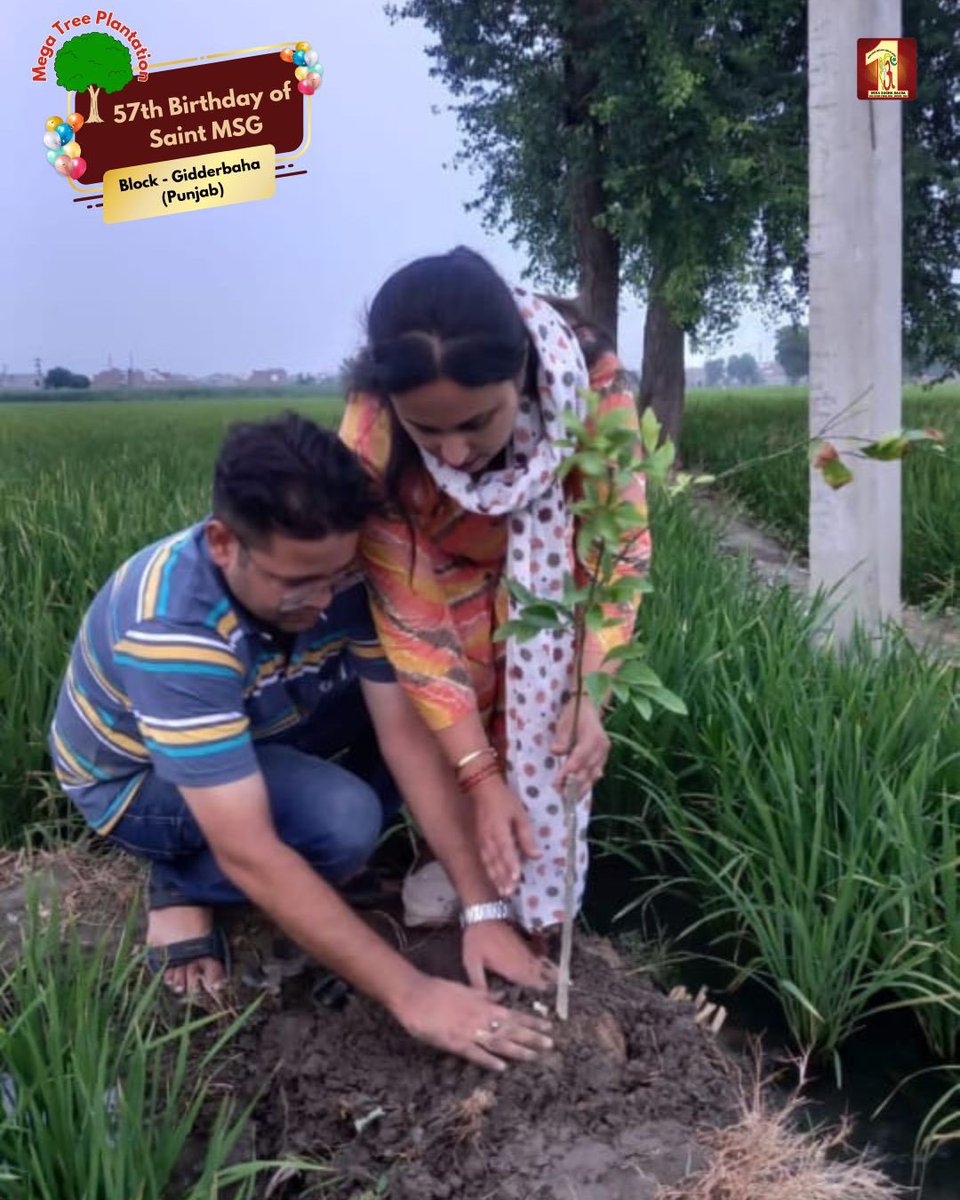 DSSNewsUpdates's tweet photo. "The Earth laughs in flowers and thrives in trees." 🌳
Dera Sacha Sauda volunteers worldwide presented a unique birthday gift to Saint Dr. MSG Insan by participating in the #MegaTreePlantationDrive. They celebrated His teachings by planting saplings, paving the way for a cleaner and greener world. 🌿 Together, we can make the Earth smile brighter! #PlantATree #MSGBhandara #RamRahim
